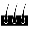 Hairline services icon